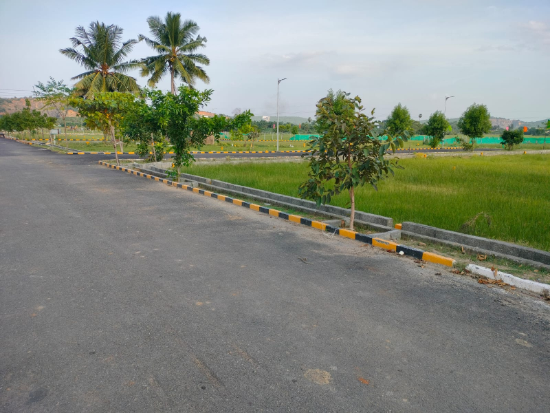 Commercial Land at puri